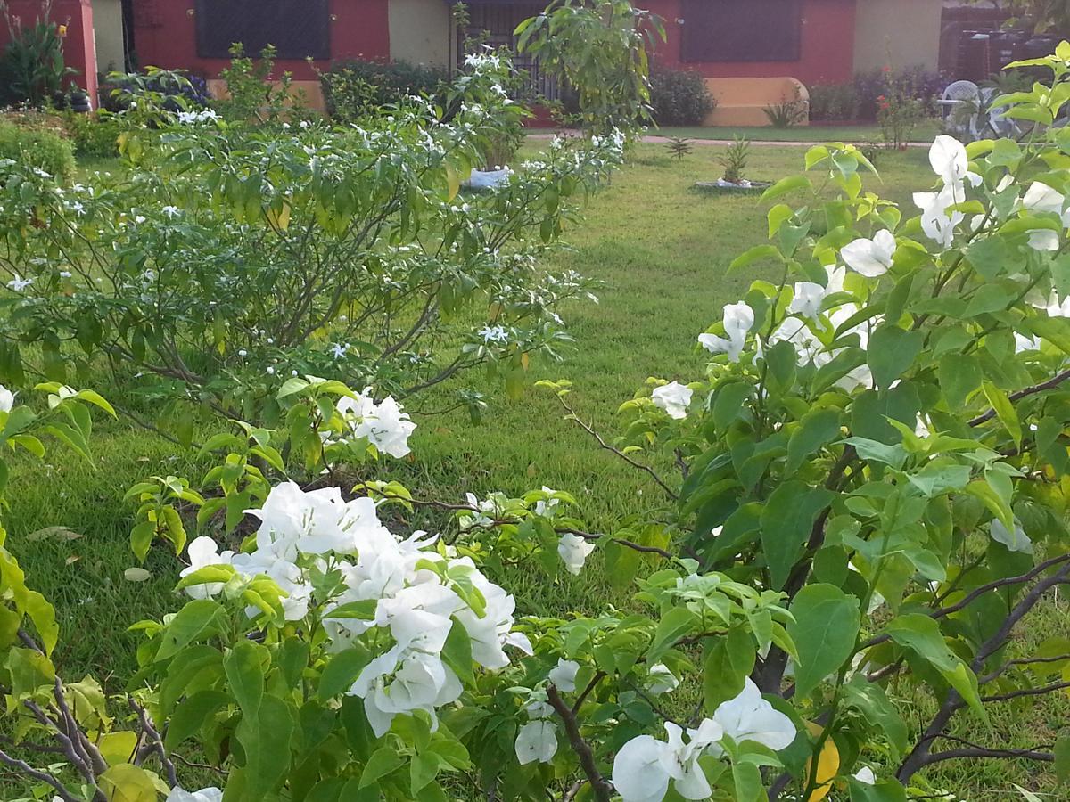 Golden Lilies Hotel Kokrobite Exterior photo